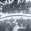 Bird eye’s view!, by Kimon Maritz